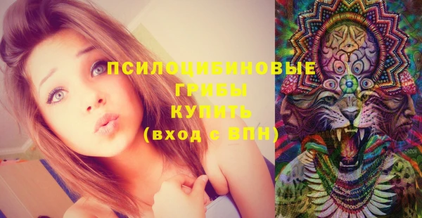 МДМА Богородск
